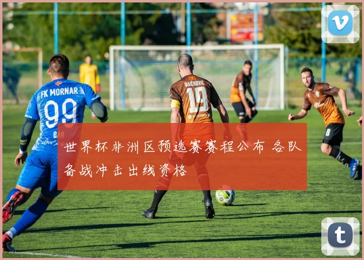 世界杯非洲区预选赛赛程公布 各队备战冲击出线资格