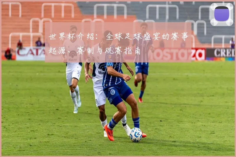 世界杯介绍：全球足球盛宴的赛事起源、赛制与观赛指南
